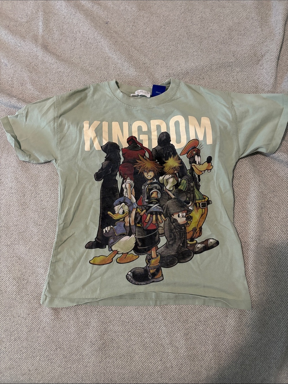 Zara Disney Kingdom Hearts s8/9